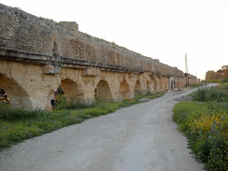 Carthage - Oued Milliane Nikon 042.jpg